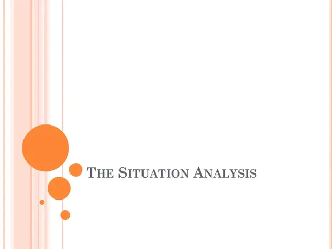 Situation Analysis : 形势分析