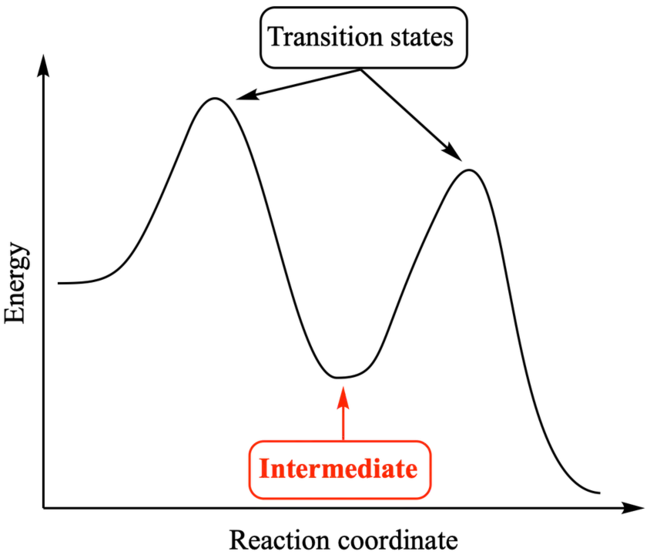 Intermediate General Support : 中间综合支持