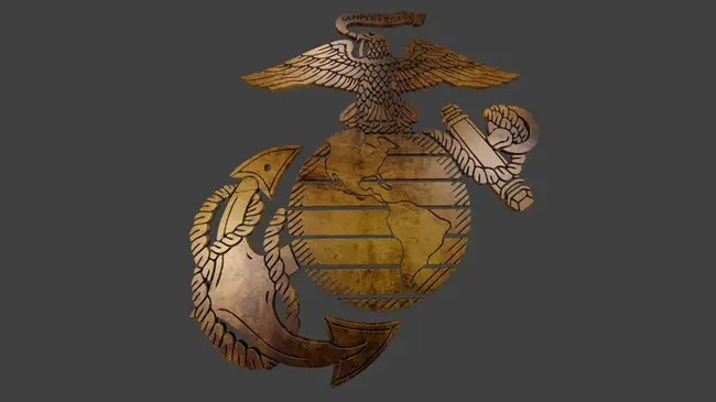 Marine Corps Capabilities Plan : 海军陆战队能力计划