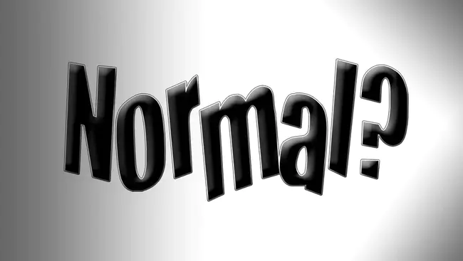 Normal : 正常的