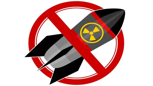 Non-Proliferation Treaty : 不扩散条约