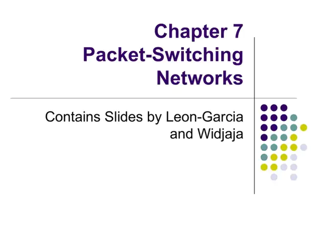 Packet Switched Network : 分组交换网