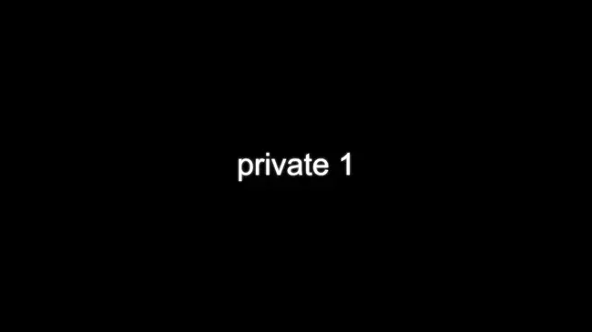 Private Type : 私人型