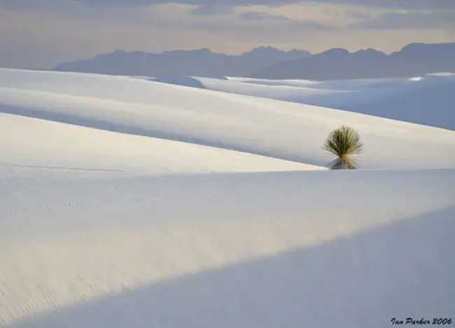 White Sands Missile Range : 白沙导弹靶场