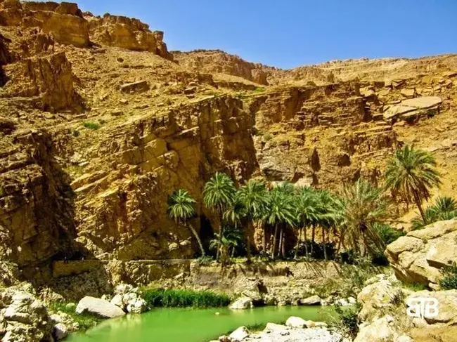 Biskra, Algeria : 阿尔及利亚Biskra