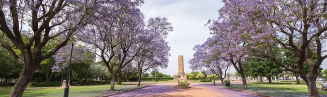 Dubbo, New South Wales, Australia : 澳大利亚新南威尔士州多波