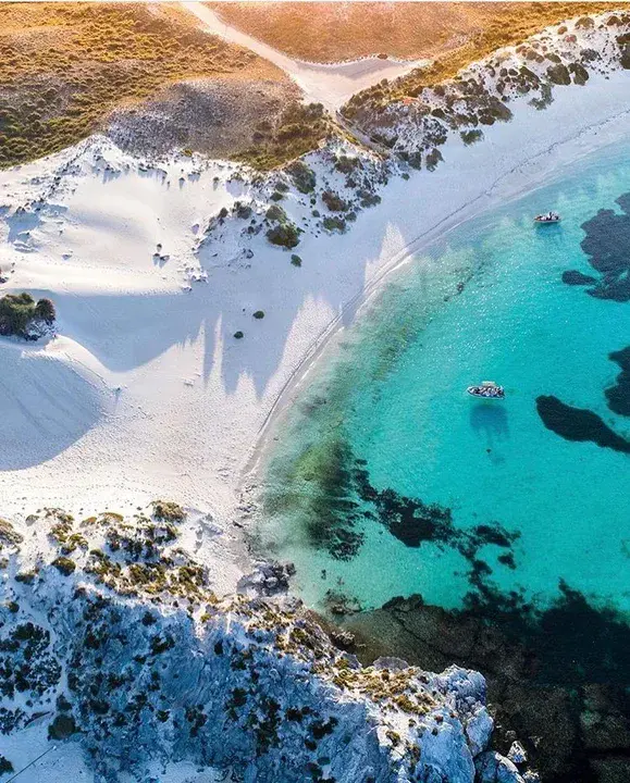 Rottnest Island, Western Australia, Australia : 澳大利亚，西澳大利亚，罗特内斯岛