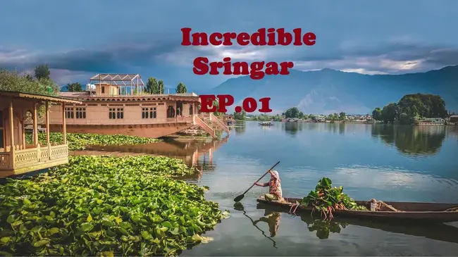 Srinagar, India : 印度斯利那加