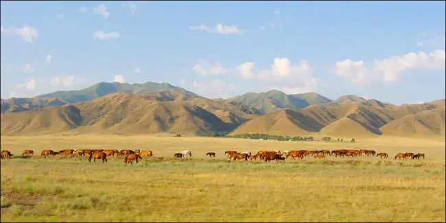 Zhambyl, Kazakstan : 哈萨克斯坦扎姆贝利