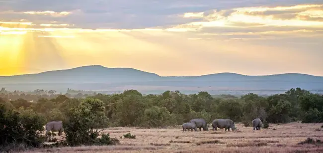 Nanyuki, Kenya : Nanyuki，肯尼亚