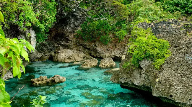 Lifou, Loyalty Islands : 利福，忠诚岛