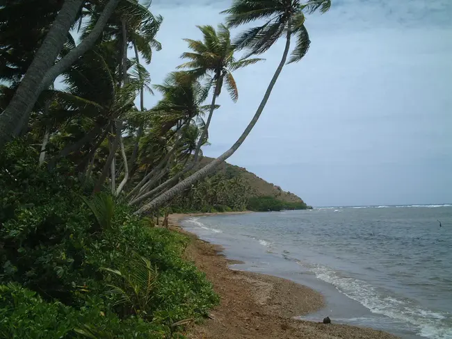 Belep Island, New Caledonia : 新喀里多尼亚贝尔普岛