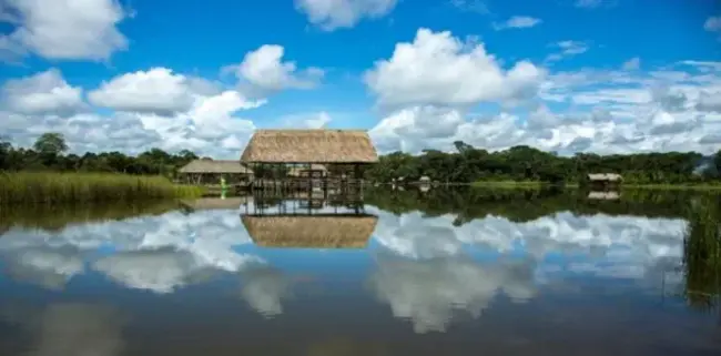 Tingo Maria, Peru : 秘鲁丁戈玛丽亚