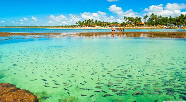 Marau Island, Solomon Islands : 所罗门群岛马劳岛