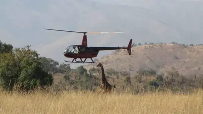 Zu-Avis Phalaborwa Airport, Phalaborwa, South Africa : 祖阿维斯法拉博瓦机场，法拉博瓦，南非