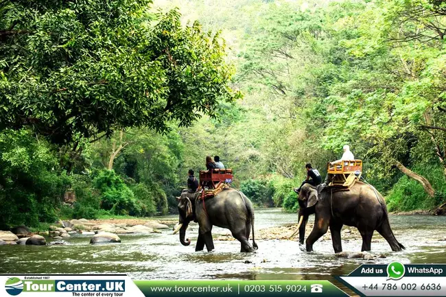 Chiang Mai, Thailand : 泰国清迈