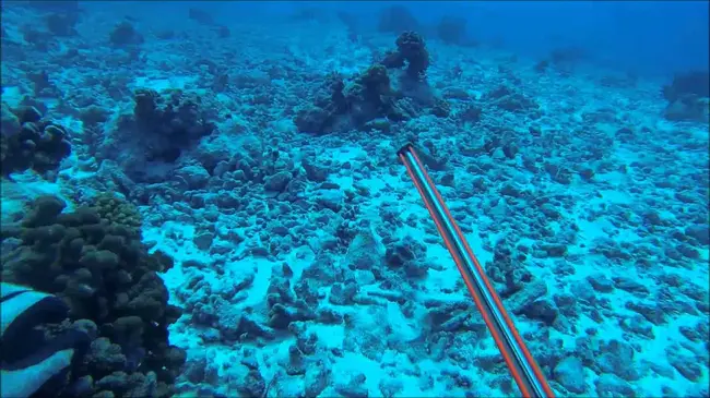 Kaukura Atoll, Tuamotu Islands : 土阿莫土群岛考库拉环礁