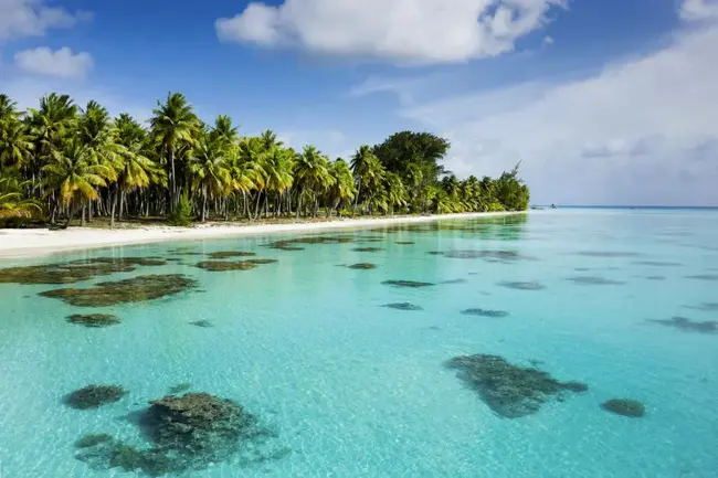 Fakarava, Tuamotu Islands, French Polynesia, South Pacific : 法克拉瓦，土阿莫土群岛，法属波利尼西亚，南太平洋