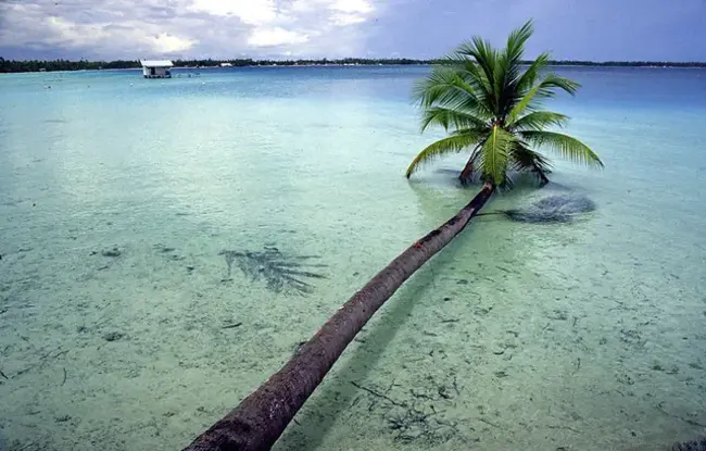 Takapoto, Tuamotu Islands, French Polynesia, South Pacific : Takapoto，Tuamotu群岛，法属波利尼西亚，南太平洋