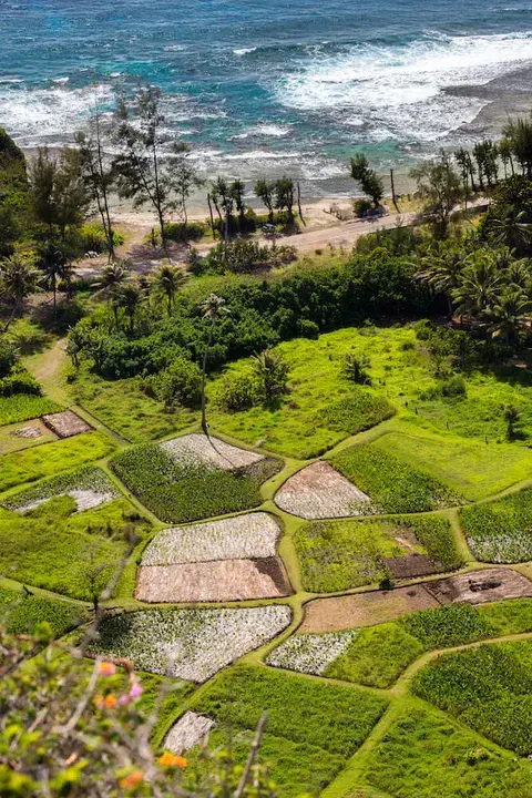 Rurutu, French Polynesia, Tubuai Islands : 鲁鲁图，法属波利尼西亚，图布亚群岛