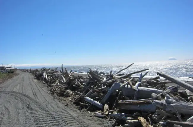 Shaktoolik, Alaska USA : 美国阿拉斯加州沙克图利克