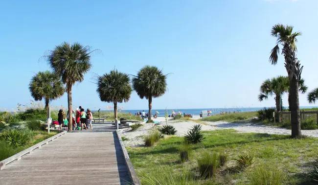 Hilton Head Island, South Carolina USA : 美国南卡罗来纳州希尔顿黑德岛