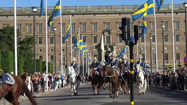 Sveriges TeleVision : 高级电视