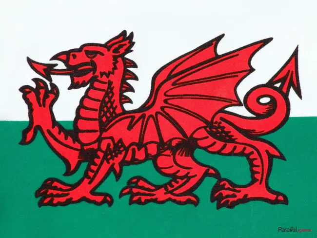 Welsh : 威尔士的