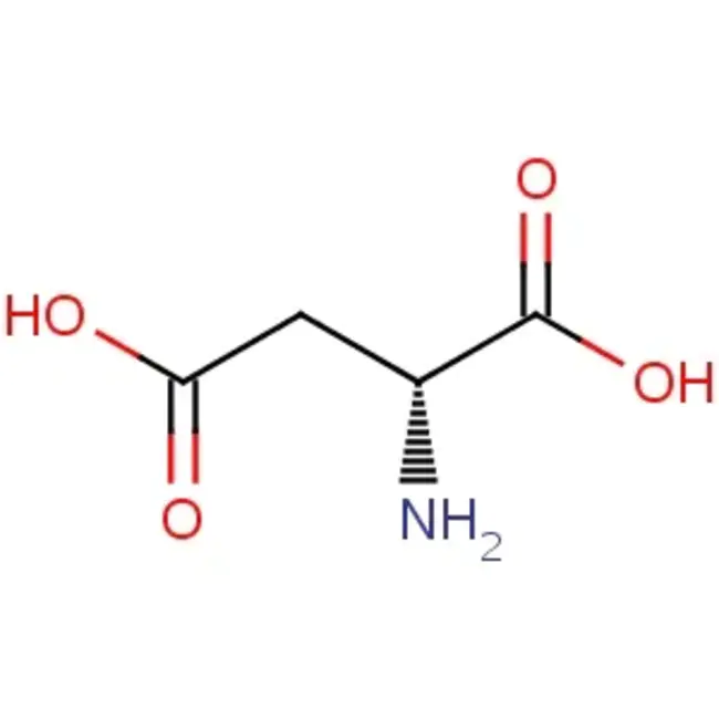 Aspartate AminoTransferase : 天冬氨酸氨基转移酶
