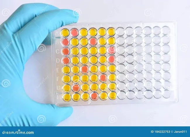 Enzyme-linked immunosorbent assay : 酶联免疫吸附试验