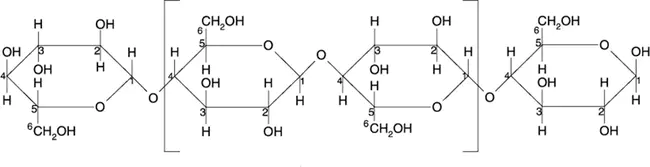 Cellulose Acetate Propionate : 醋酸丙酸纤维素