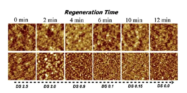 Cellulose Nitrate : 硝酸纤维素