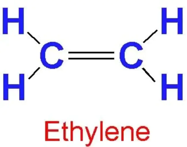 Ethylene Propylene Terpolymer Rubber : 三元乙丙橡胶