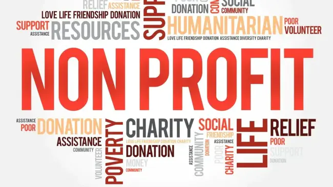 Non-profit Organizations : 非营利组织