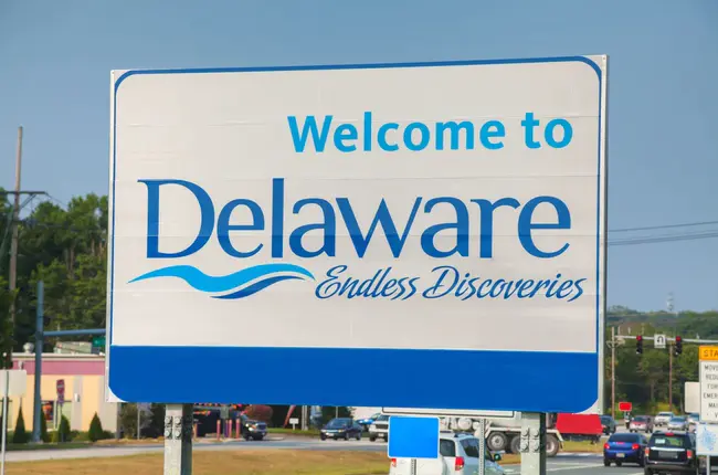 Delaware Group Dividend & Income Fund : 特拉华集团股息及收益基金