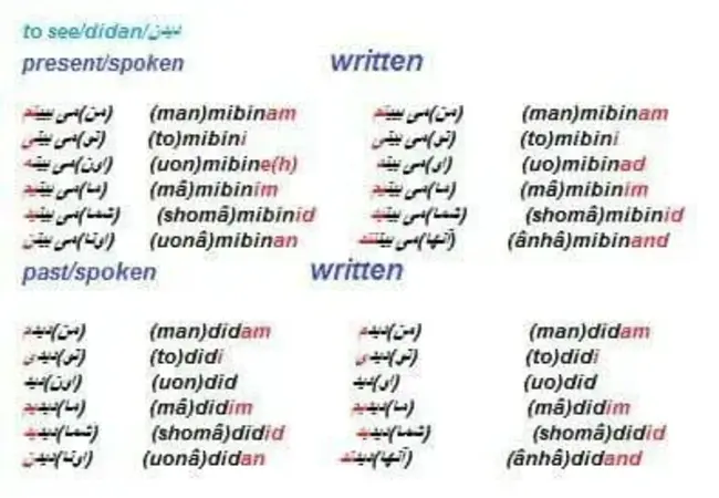 Farsi (Persian) : 波斯语（波斯语）