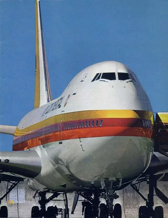 Continental Airlines, Inc. : 美国大陆航空