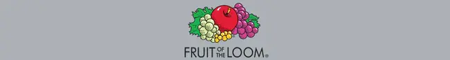 Fruit of the Loom, LTD. : 织布机水果有限公司