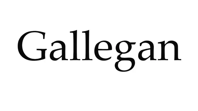 Gallegan : 加莱根