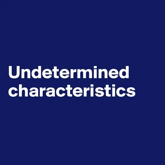 Undetermined : 未确定的