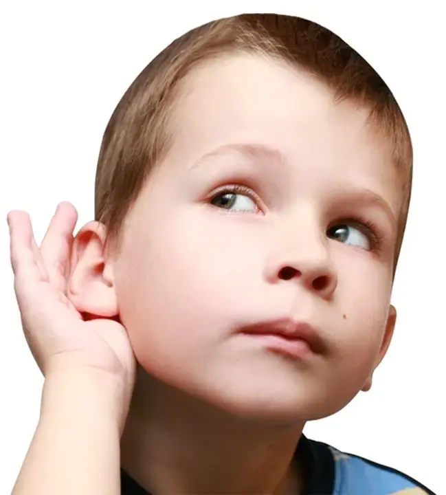 Auditory Brainstem-- Evoked Potential : 听觉脑干——诱发电位