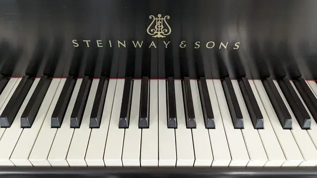 Steinway Musical Instruments, Inc. : 施坦威乐器公司