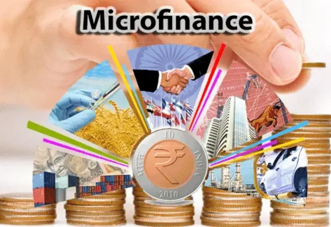 Microfinancial, Inc. : 小额金融公司