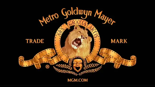 Metro-Goldwyn-Mayer, Inc. : Metro Goldwyn Mayer公司