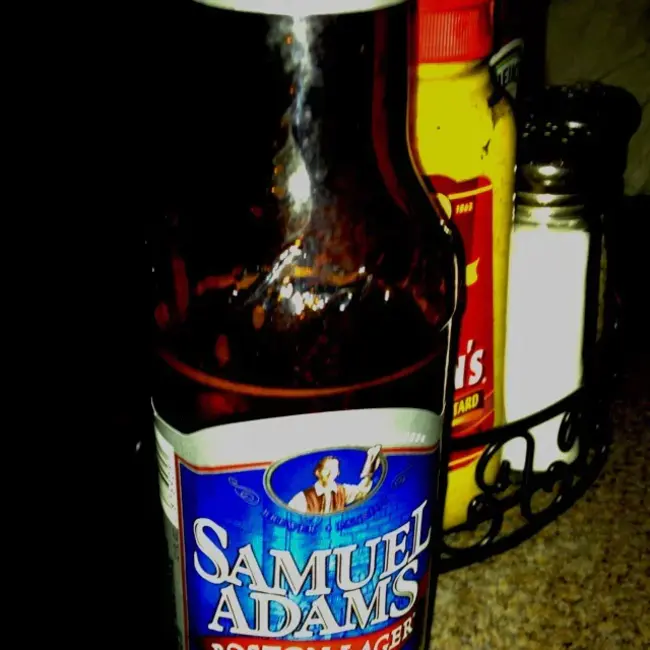 Boston Beer, Inc. (Sam Adams) : 波士顿啤酒公司（萨姆·亚当斯）
