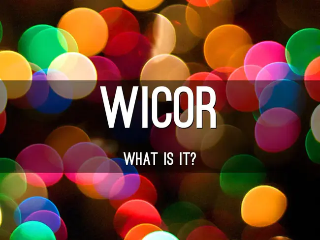 Wicor, Inc. : 威科公司