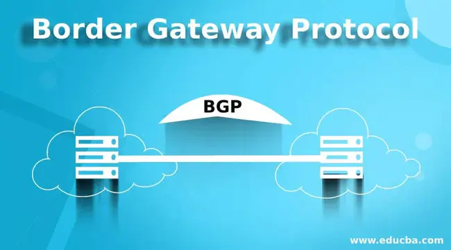 Border Gateway Protocol : 边界网关协议