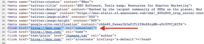 Canonical Format Indicator : 规范格式指示器