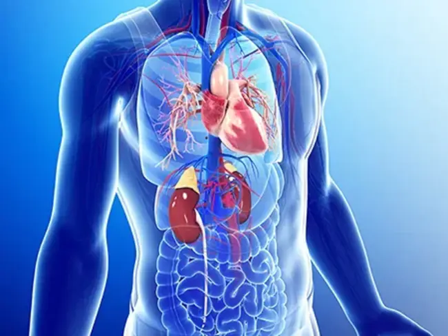 Coronary Care Unit : 冠状动脉护理室