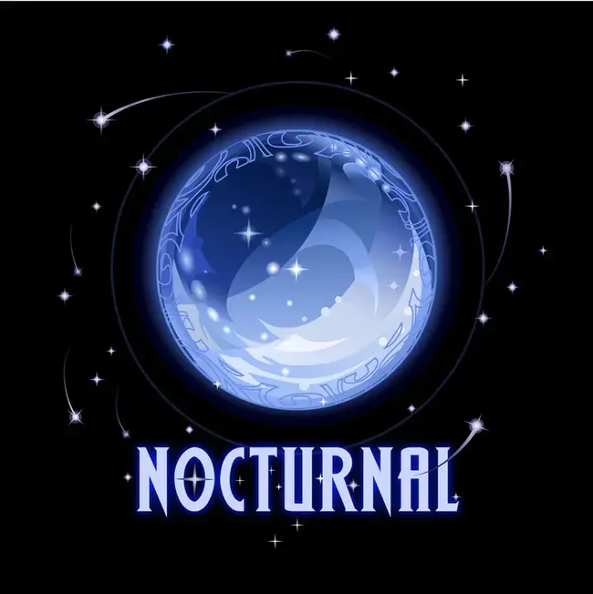 Nocturnal (Night) : 夜间（夜间）